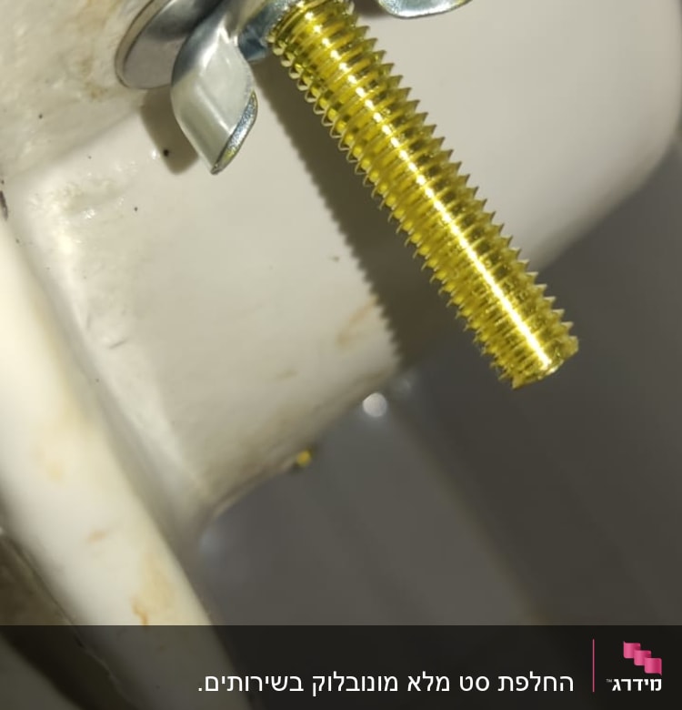 בורג כנף מתכת מחובר לאסלה